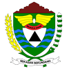 Logo Kabupaten Muara Enim